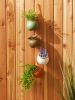 Set of 4 Terra Cotta Hanging Mini Planters – Rustic Charm for Garden & Home
