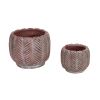 Decorative Cement Flower Pots with Leaf Design - Perfect for Indoor and Outdoor Gardening, Set of 2