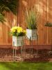 Modern Hexagon Bucket Plant Stand Set of 2 - Stylish and Functional