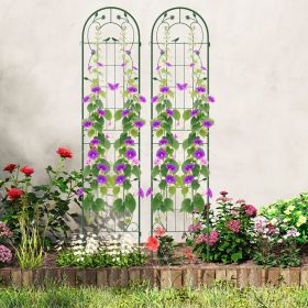 2 Pack 86.5 x 20 Inches Metal Garden Trellis for Climbing Plants
