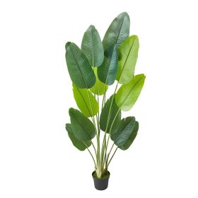 6 Ft Artificial Bird Of Paradise With 13 Trunks And White Pot, A Faux Tropical Silk Tree For Home, Office, Living Room, Indoor Or Outdoor Décor