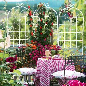 Metal Rustproof Outdoor Garden Trellis for Climbing Plants, Cream White, 4 Pack