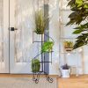 Modern Spiral Plant Stand Showcase - Stylish Indoor Plant Display Stand
