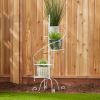 Modern Spiral Plant Stand Showcase - Stylish Indoor Plant Display Stand