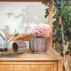 Decorative Cement Flower Pots with Leaf Design - Perfect for Indoor and Outdoor Gardening, Set of 2