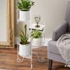 Modern Spiral Plant Stand Showcase - Stylish Indoor Plant Display Stand