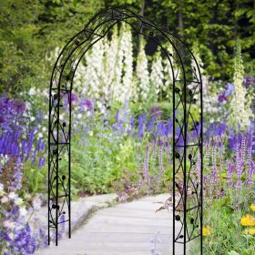 Metal Outdoor Garden Arch, Arbor, Trellis for Climbing Plants (Color: Black)