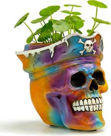 Gothic Hand Painted Pirate Skull Planter With Drainage For Indoor Or Outdoor (Color: Rainbow)