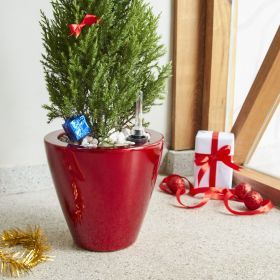 2-Pack Smart Self-watering Planter Pot for Indoor and Outdoor (Shape: Round Cone, Color: Red)